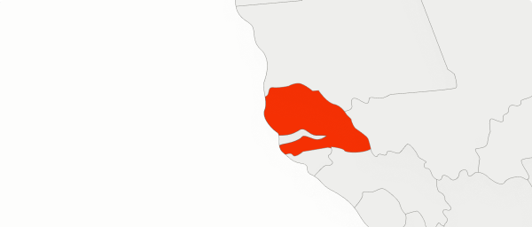 Senegal PHP & Laravel Event